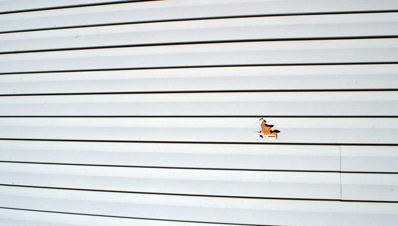 Damage Assessment and Preparation